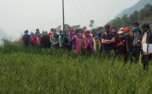 Women farmers observing fields in Lumle Agricultural Center during learning visit