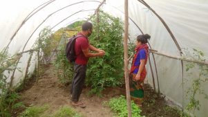 HHC Agricultural Technician Soviat helping woman farmer in Sertung